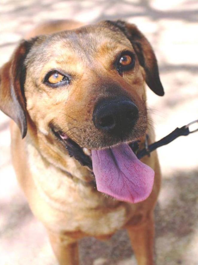 Adopt a friend: Hope